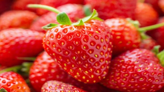 Fresh organic red ripe Strawberry fruit background closeup