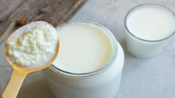 kefir